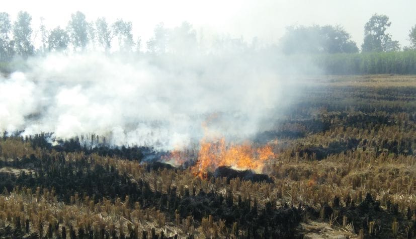 Pollution is spreading by burning straw in agricultural farm