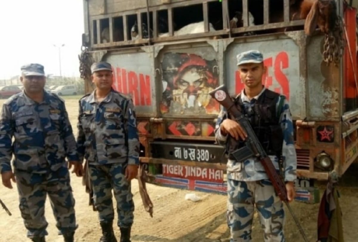 Three trucks Indian goat recovered in Nepal