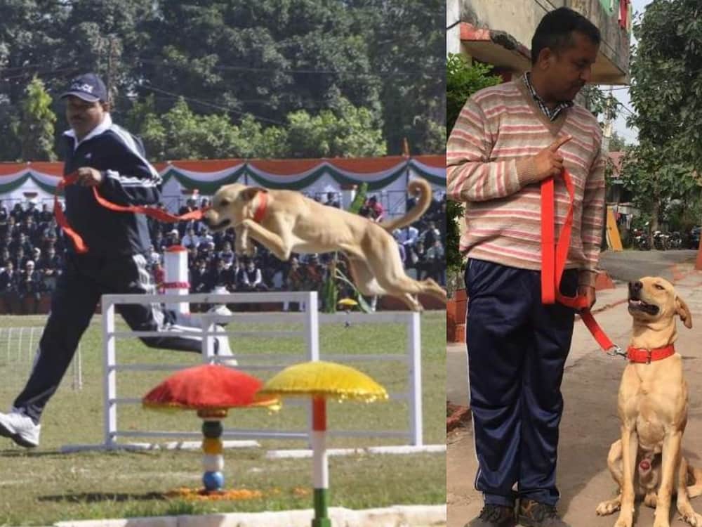 uttarakhand police recruits street indian dog breed as part of squad dog