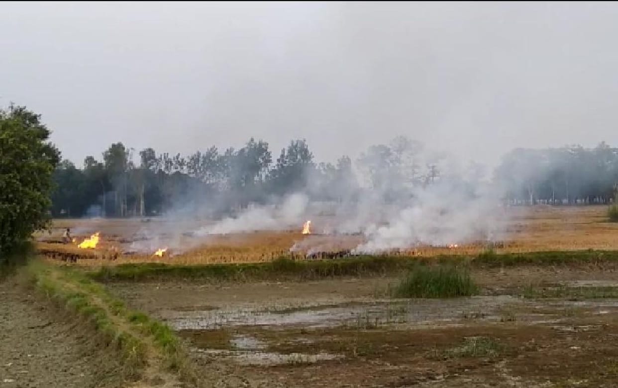 Fines imposed on 13 farmers for burning stubble