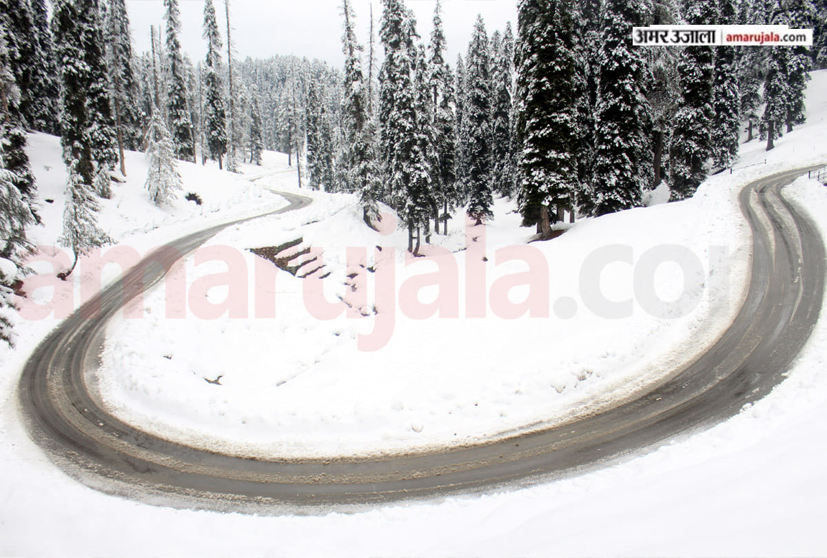 saffron and apple crop Damage due to rain snowfall, Rain and snowfall bother people in Jammu Kashmir