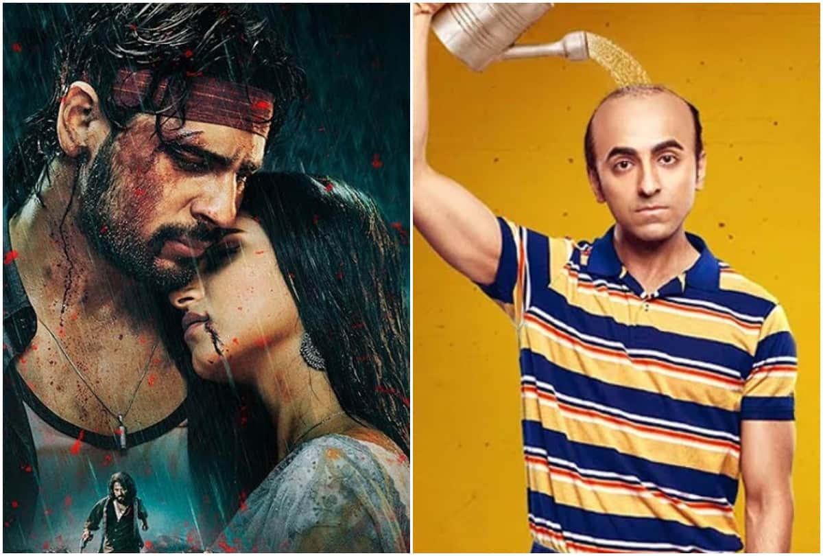 Marjaavaan day 3 and bala day 10 box office collection