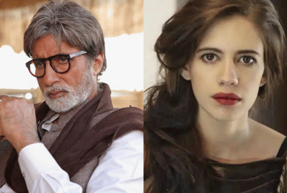 Amitabh Bachchan Film Jhund Copyright and Kalki Koechlin on Pregnancy entertainment news