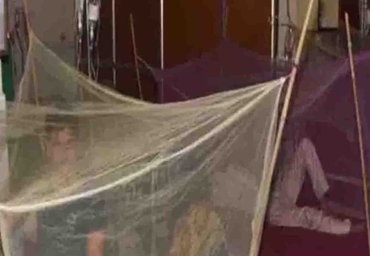 Three people died due to dengue in kanpur