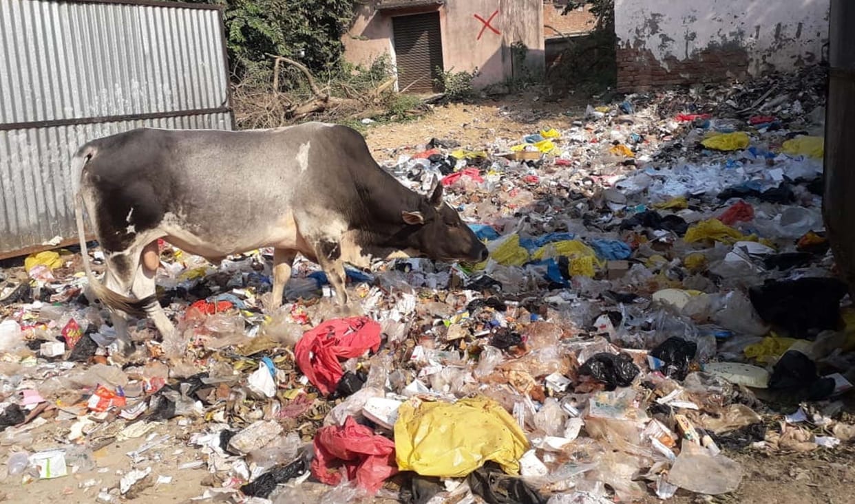 garbage in hospital campus