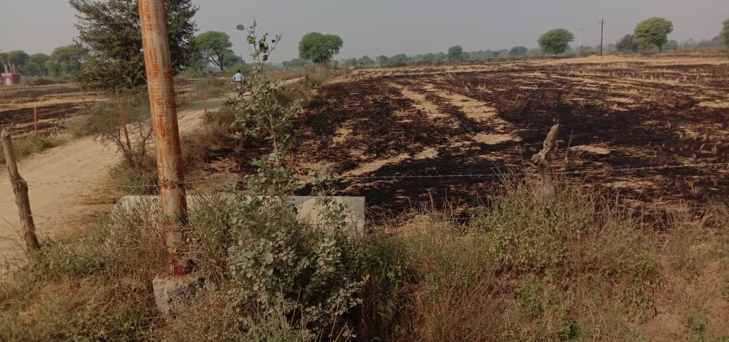 Report on the eight farmers burn Parali