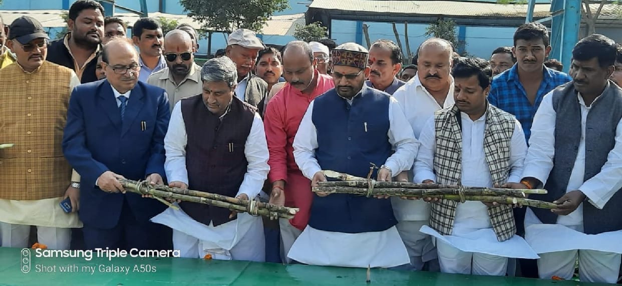 Farmers should earn more profit by sowing cane of improved species