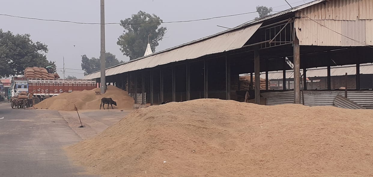 Hathras: Up to five years exemption in mandi fees for setting up rice making units