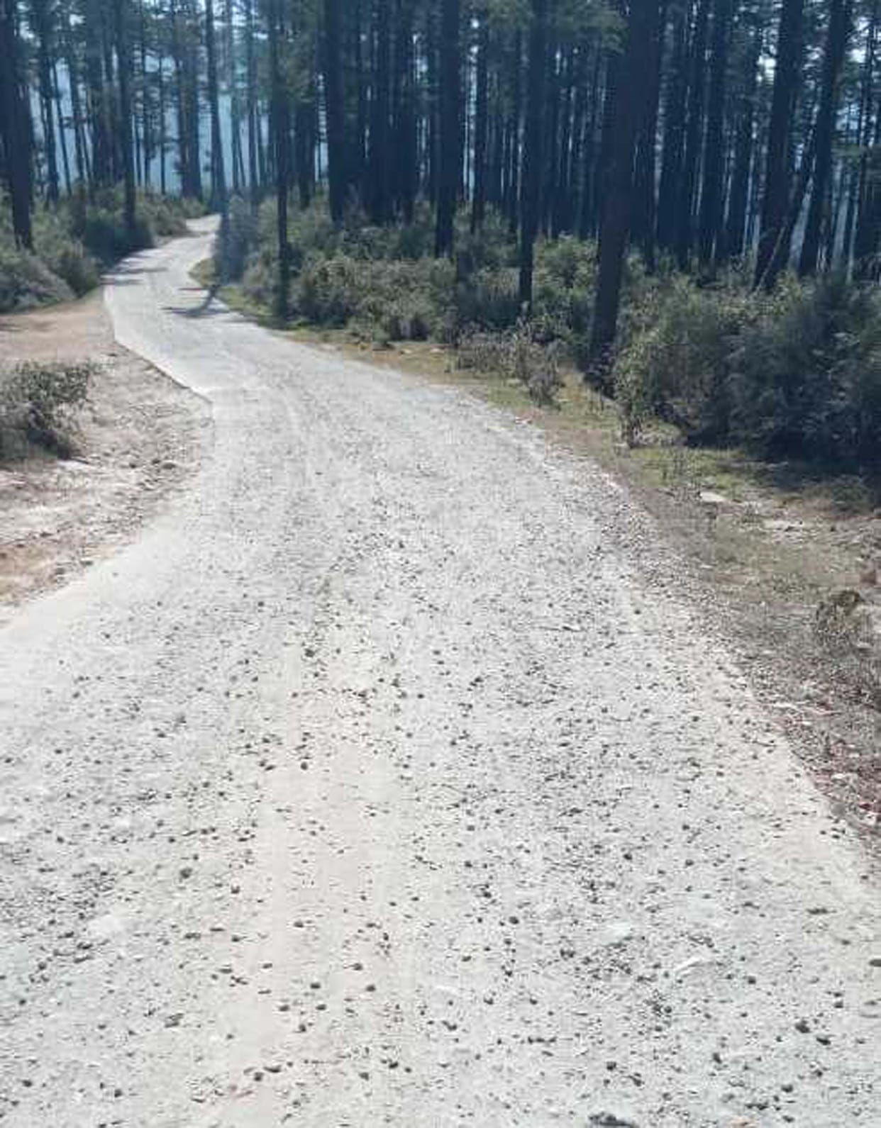 people face problems due to lack of maitainence of road