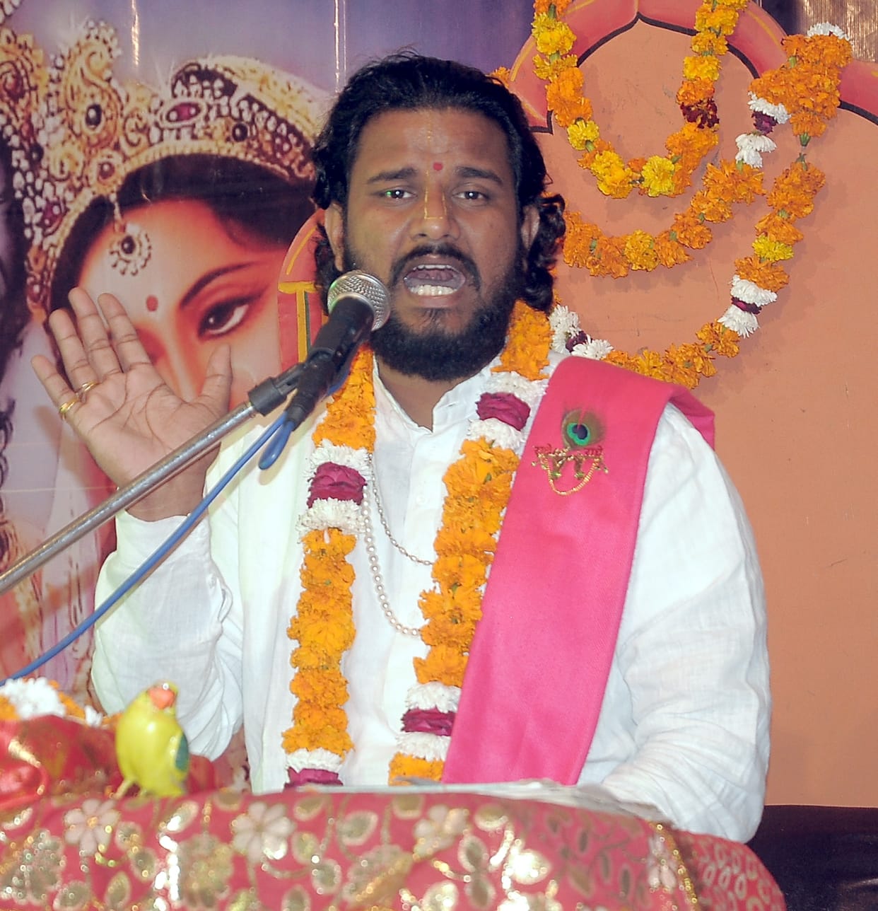 Shrimad Bhagwat Katha Priceless Medicine: Sumit Krishna