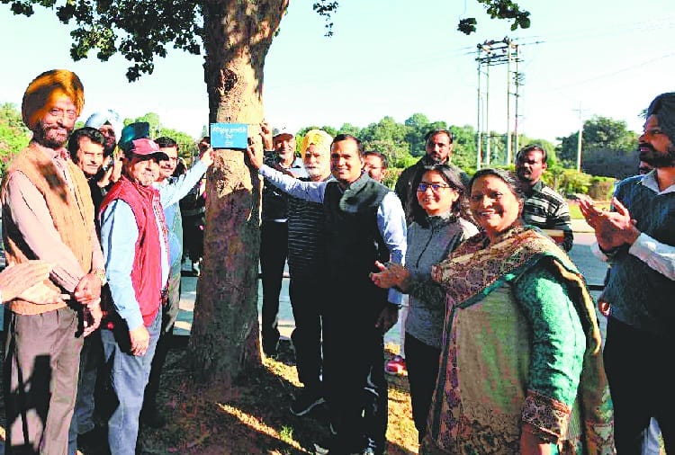 trees got name plate in chandigrah