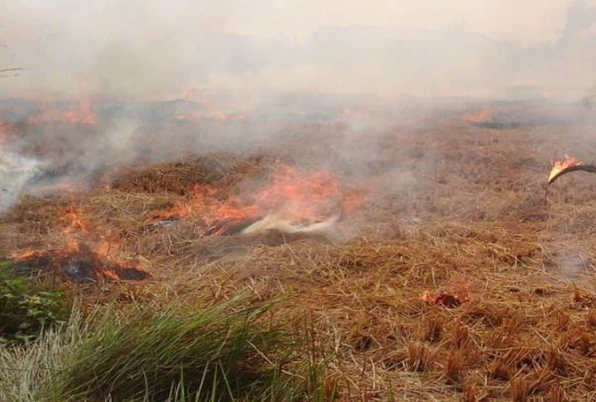 Harm to the human body due to stubble burning and methods of prevention