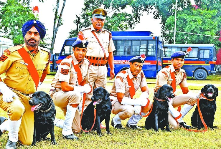 sniffer dogs joined chandigarh police for security of Public