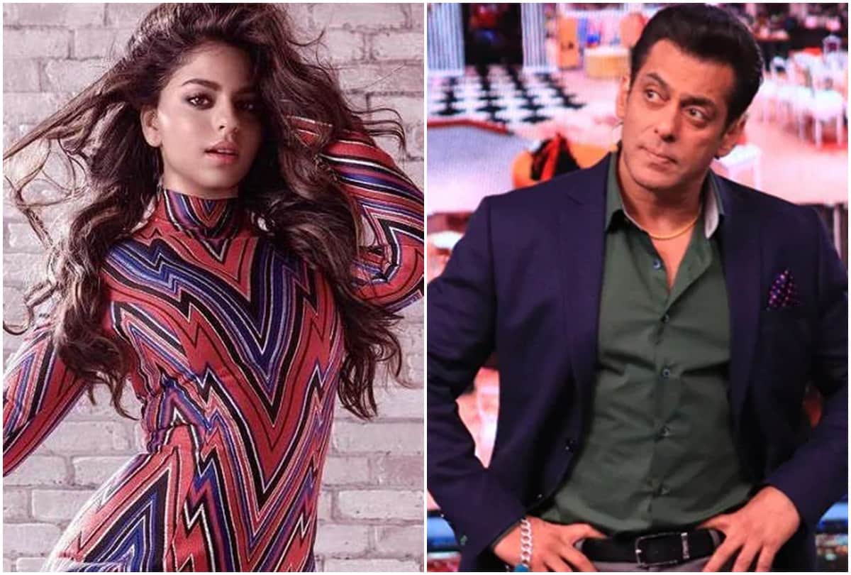 Suhana Khan Acting Debut To Salman Khan Will Not Be A Part of Bigg Boss Next Season, Dive News