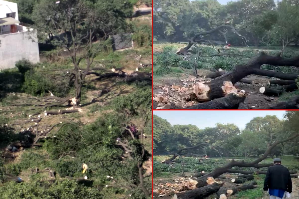 pollution level Increasing in country but more than fifty of green trees cut down in Meerut city