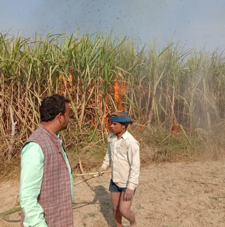 50 beeghe crop caught fire