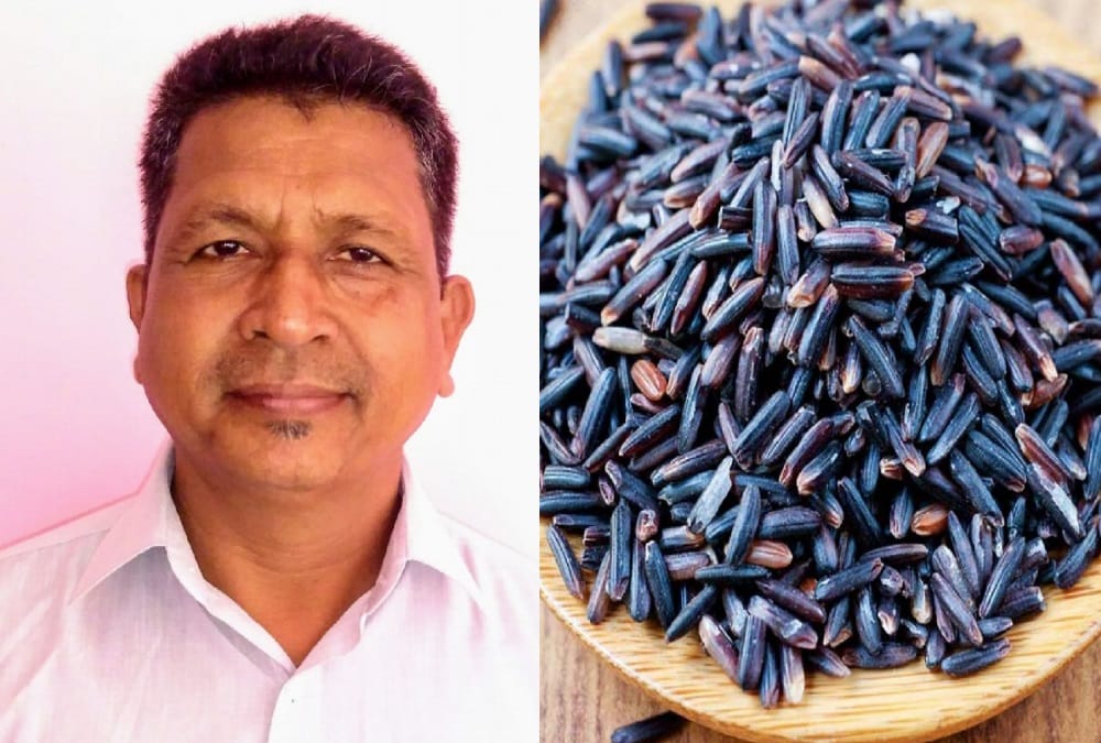 Black rice Farming first time in uttarakhand nainital