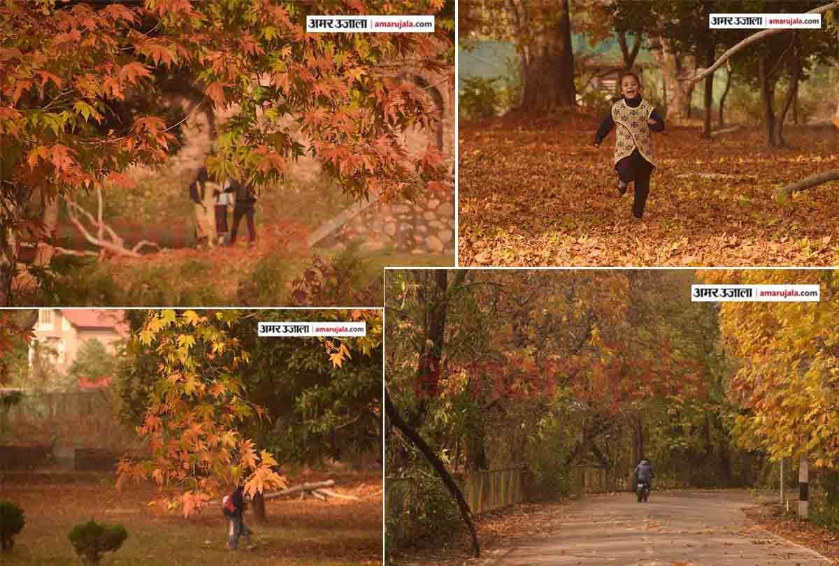 PHOTOS OF AUTUMN in srinagar kashmir, latest and exclusive photos of kashmir