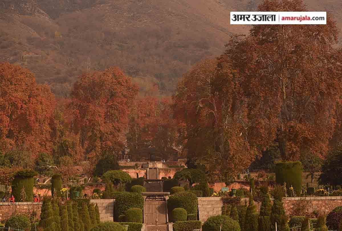 Bollywood actor and producer Rahul Bhat said I will make about 10 films in Kashmir in coming five years