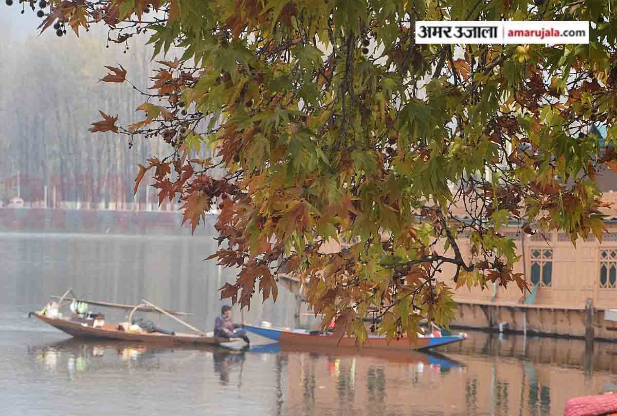 autumn photos of kashmir, photos of chinar leaves in kashmir, best photography places in kashmir