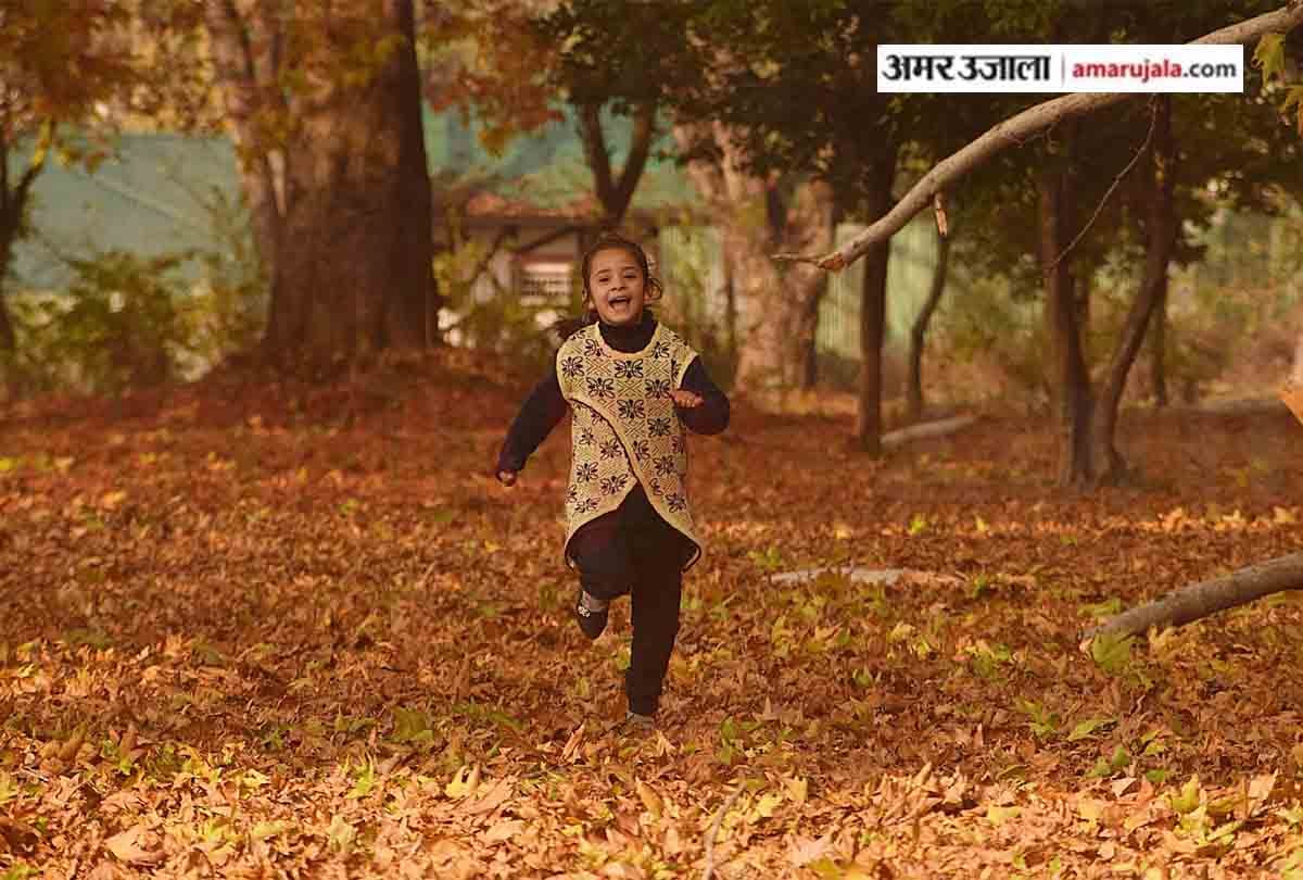 autumn photos of kashmir, photos of chinar leaves in kashmir, best photography places in kashmir