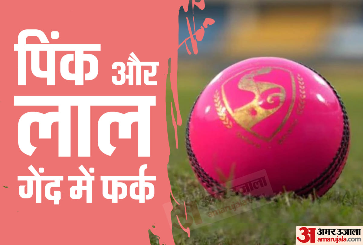 AUSvIND: Why only pink ball is used in day night test match, Here is everything you need to know