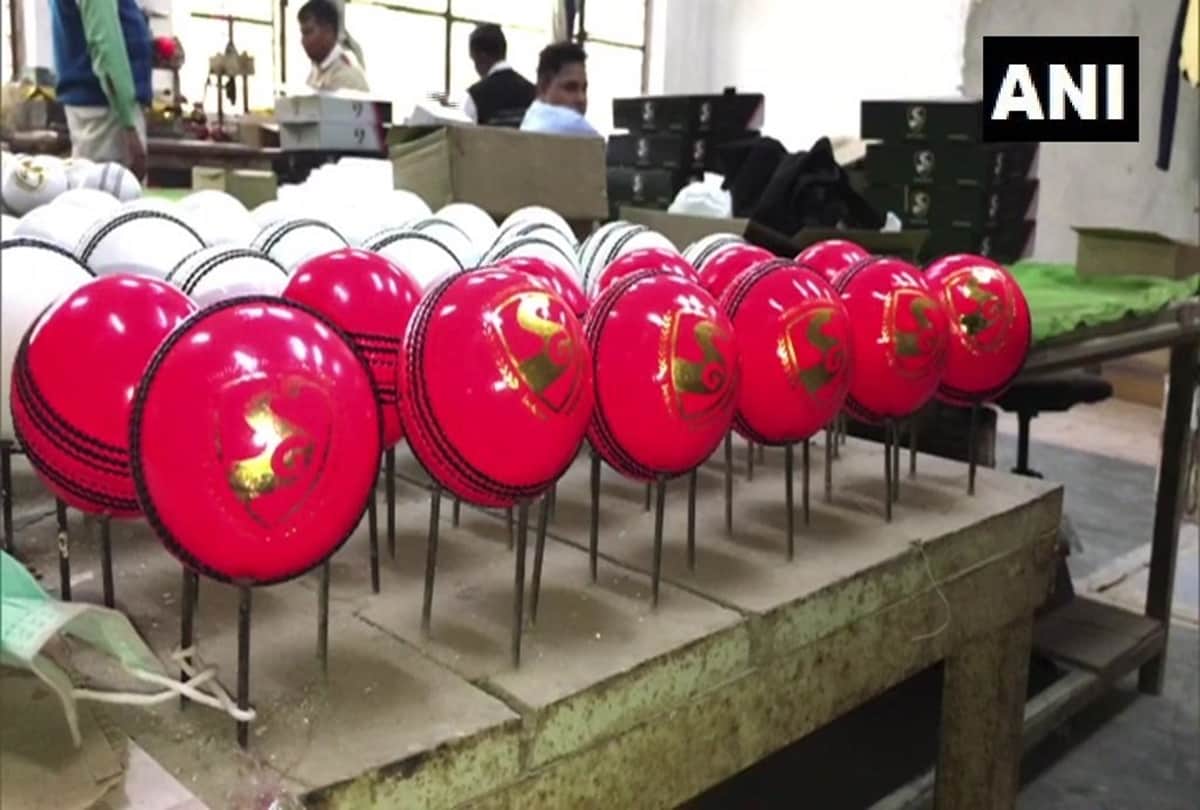 INDvBAN Know Every things about pink cricket ball which will use in Kolkata Day Night Test