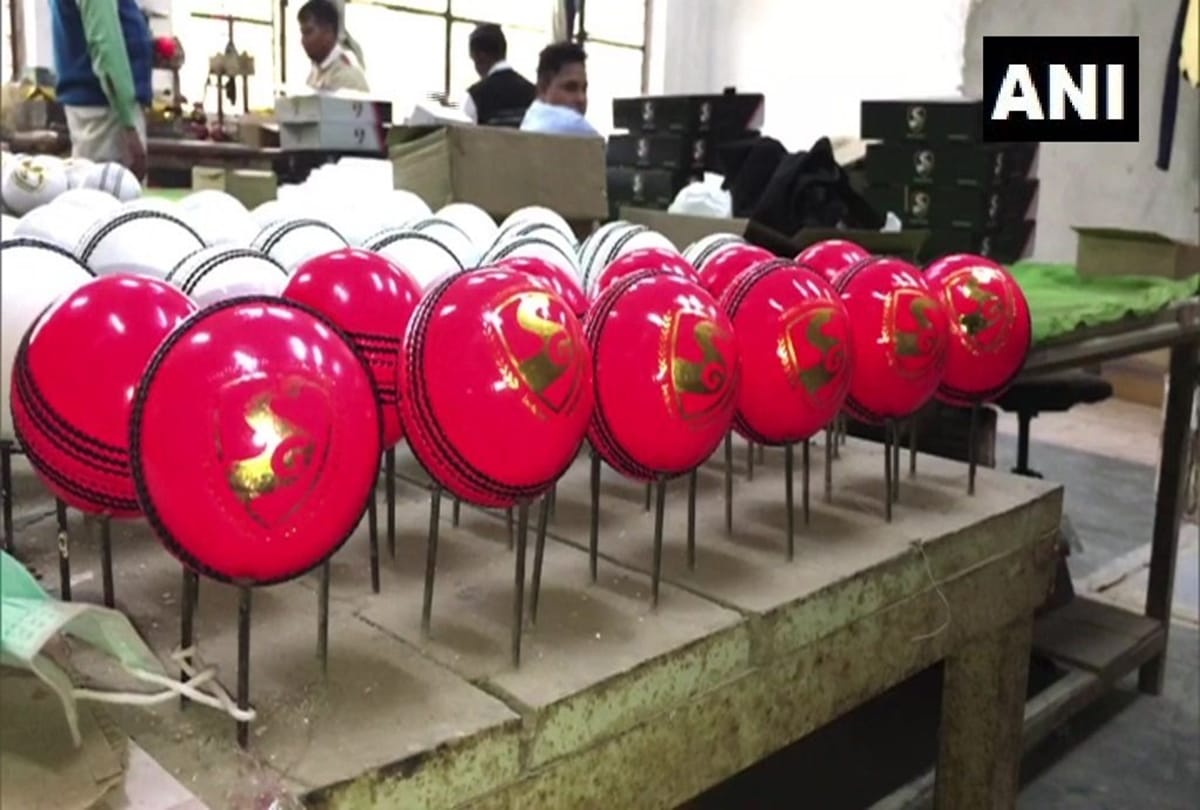 INDvBAN Know Every things about pink cricket ball which will use in Kolkata Day Night Test