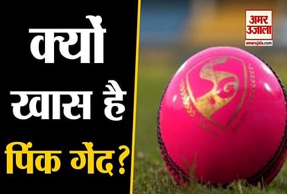 Know the specialty of Pink ball used in day-night test