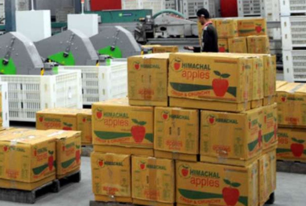 four crore apple carton boxes target by industry during Apple season in Himachal