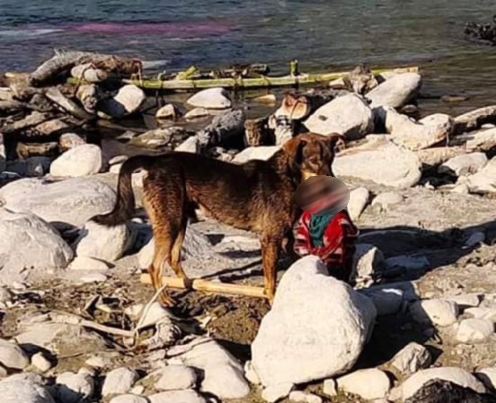 dead body of a child thrown in open, rescued form dog jaw