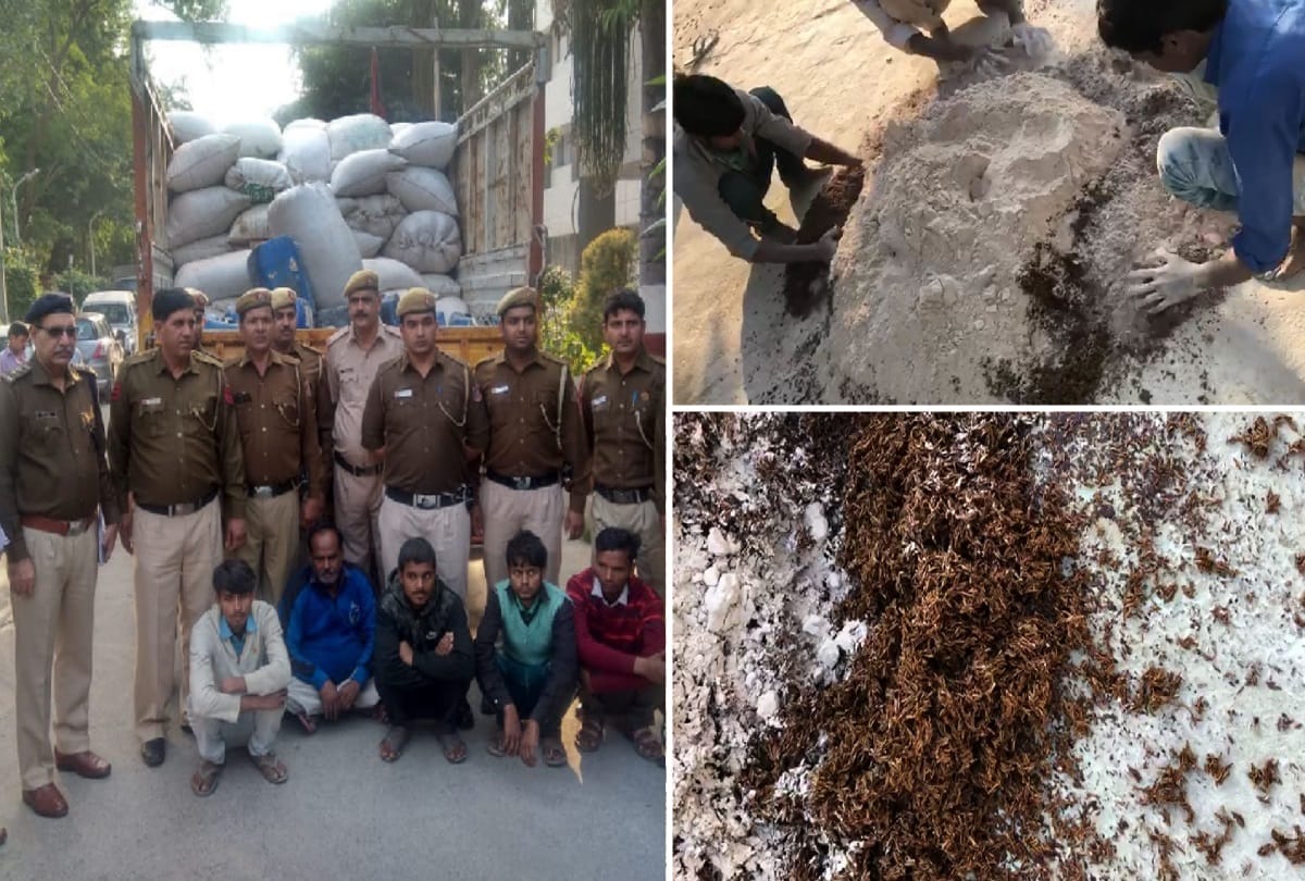 fake cumin making factory busted they use broom crush and jaggery to make read full story