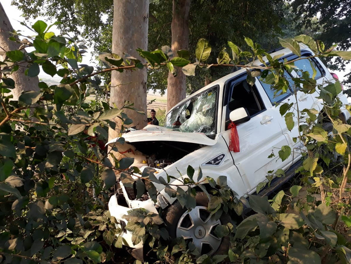 Scorpions' skirmish hit the tree, ten injured