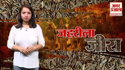 Police Discover Fake Jeera From A Factory In Delhi