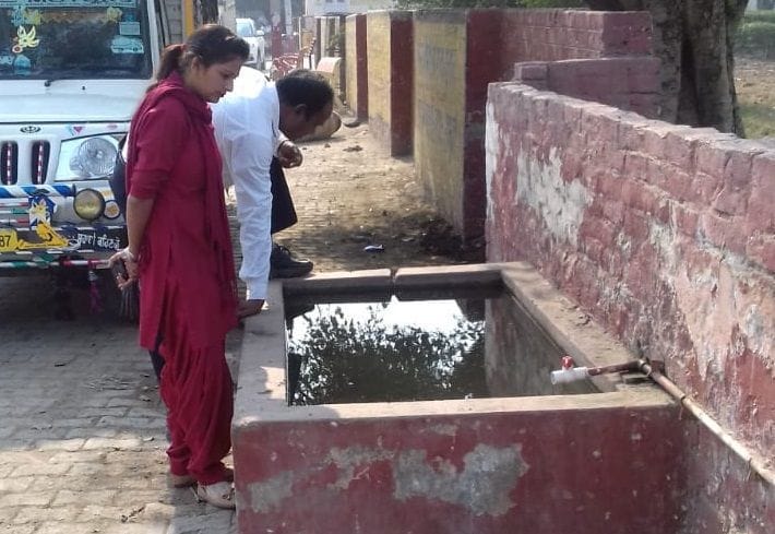 mosquito larva found in three houses, survey, health department, fatehabad