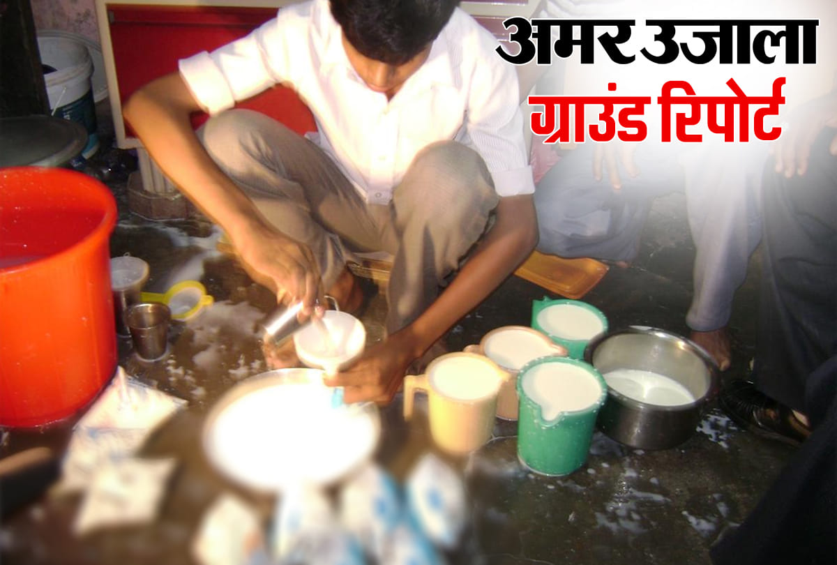 Amar Ujala Special report on food adulteration