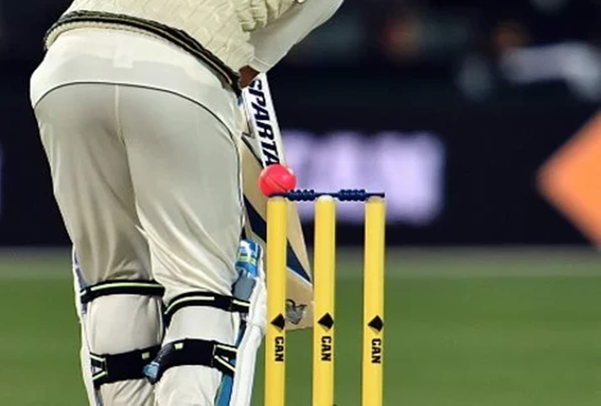 Mitchell Starc comments on saliva ban, says Cricket runs risk of becoming boring
