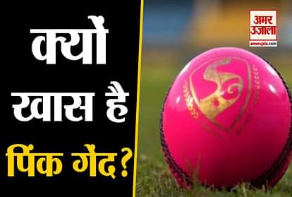 Know the specialty of Pink ball used in day-night test