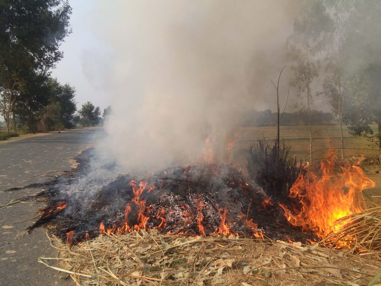 Case Filed Against farmer for burning