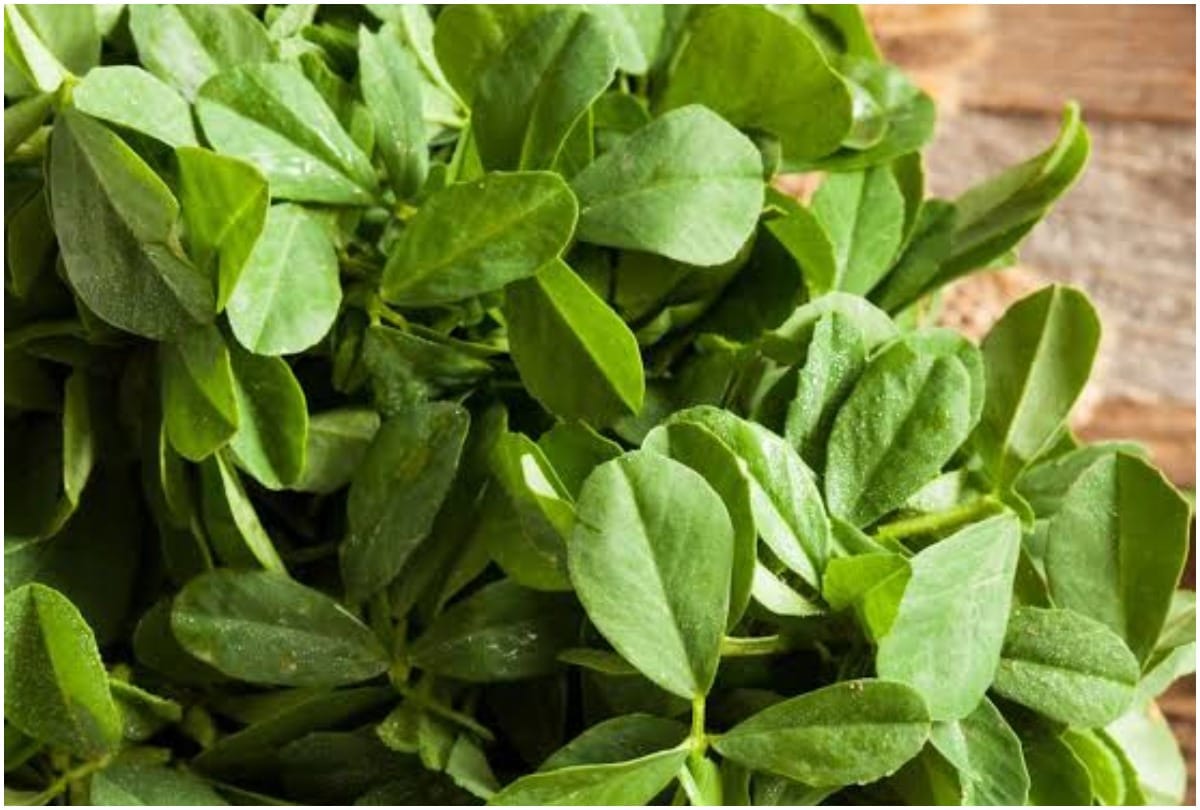 eat leafy vegetables in winter