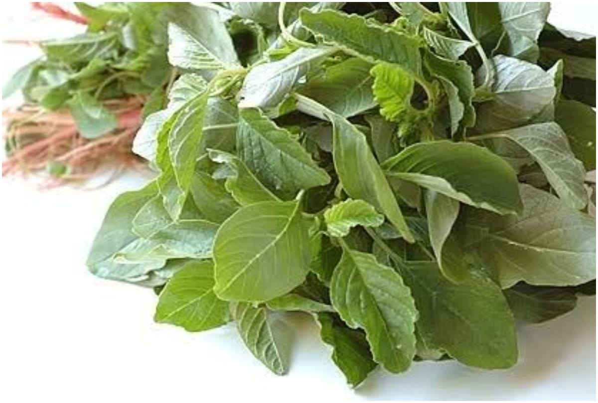 eat leafy vegetables in winter