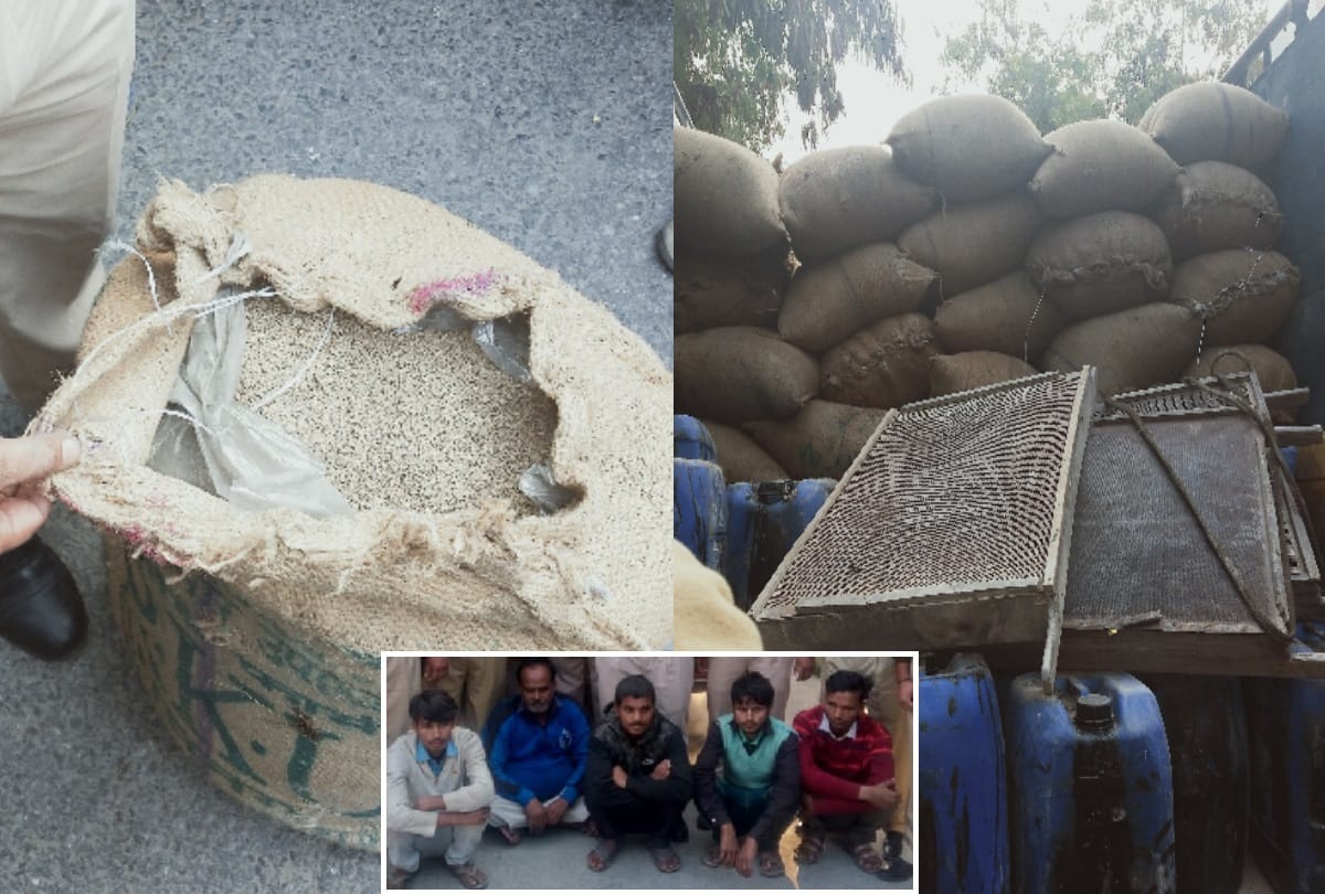 delhi accused of cumin making with broom crush reveals making fennel with distemper