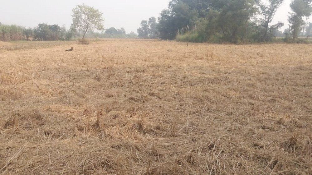 farmer are said