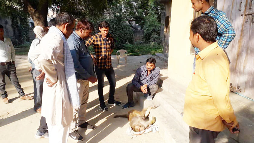 kanpur dehat accidant