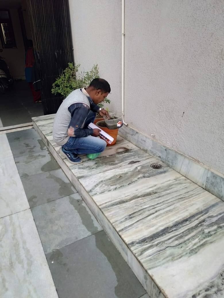 dengue, two suspected patient found, sample, health, fatehabad