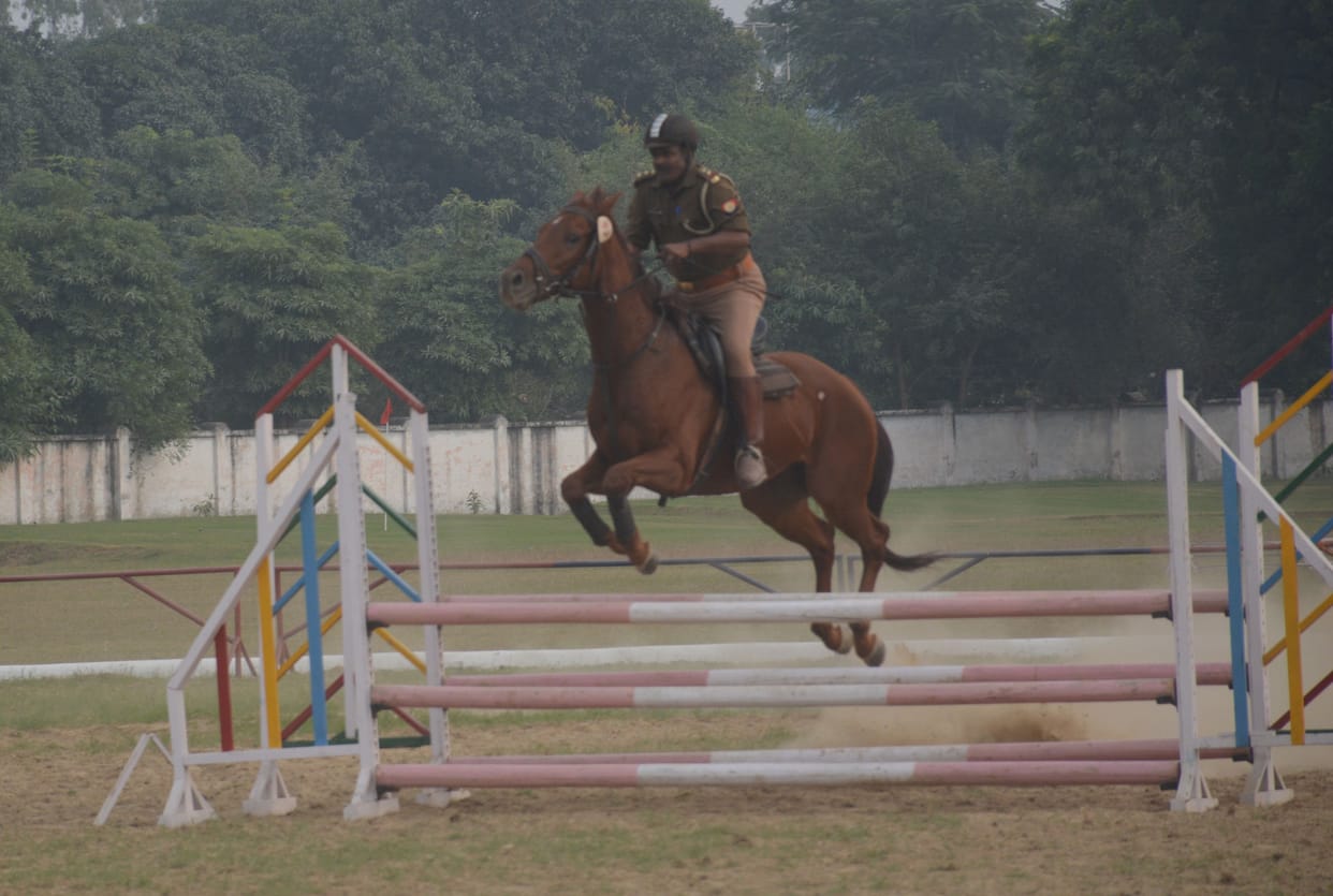 horse riding