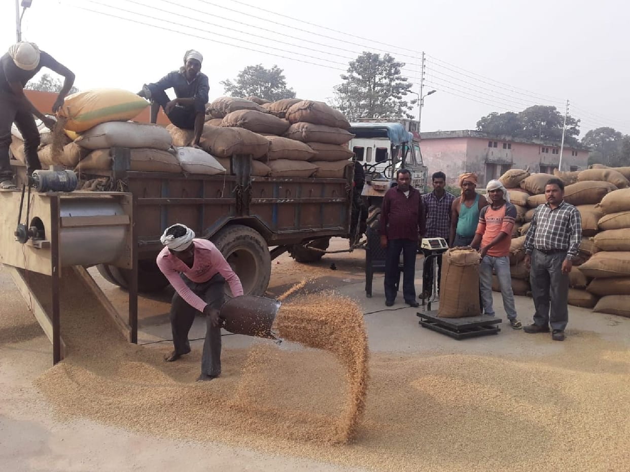 Only 7.78% paddy purchase in 23 days