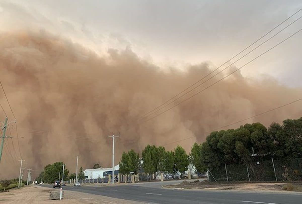Australia After fire people are troubled by dust storm, temperature crosses 40 degree