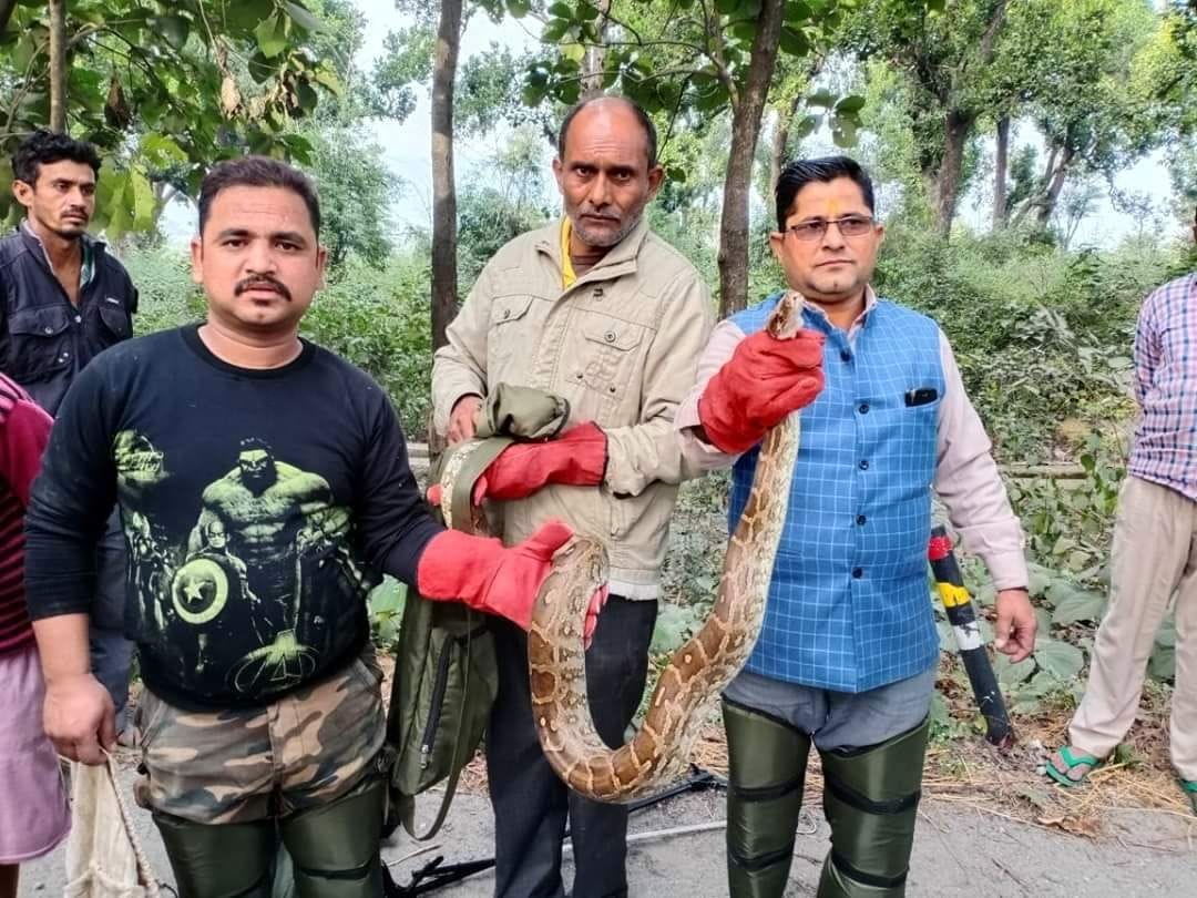 The dragon reached the road head out of the forest, rescue