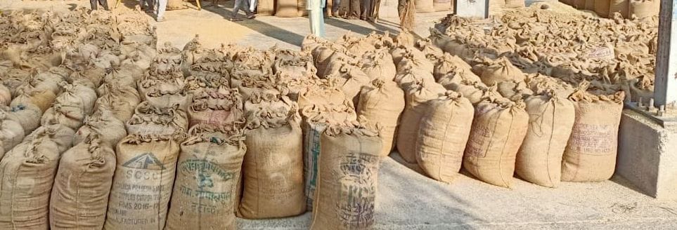 sell in rice